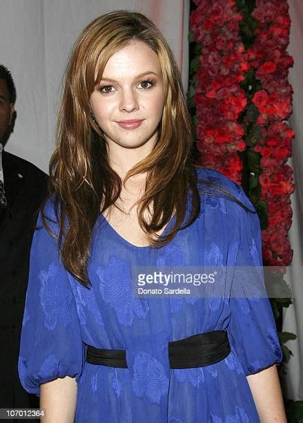 amber tamblyn images|171 Exclusive Amber Tamblyn Stock Photos and High.